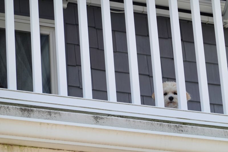 Local Railing Replacement in Mount Pleasant, SC