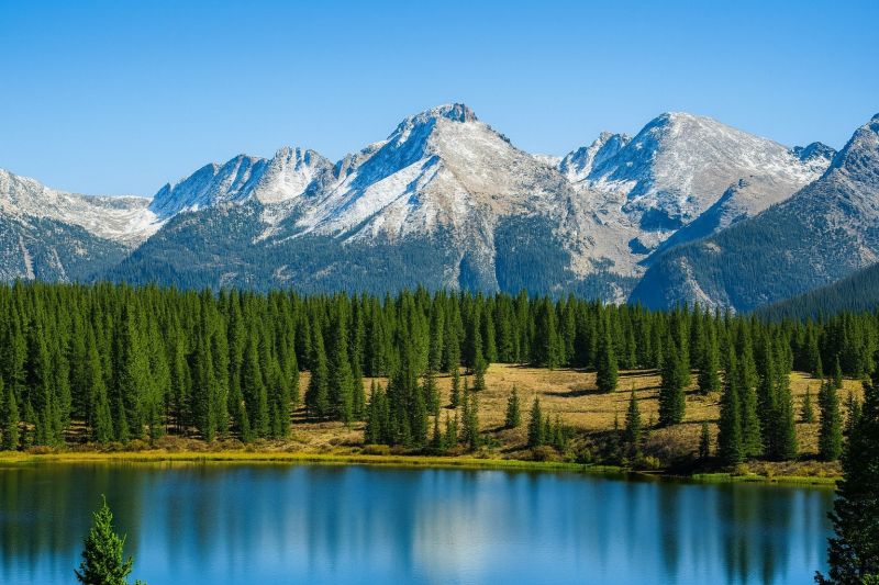 Local Wood Railing Repair in Lafayette, CO